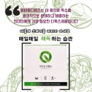 더레드피씨 | 자체제작슈즈 / 성수동장인슈즈 / 붓기차출시 D-3 / 더레드 , 하루해독 복용법 제발좀 필독 ㅋㅋㅋ ]