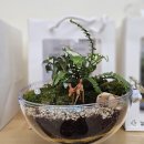 부산유치원 | 아이들과 선생님이 반한 테라리움 수업 | 부산 유치원 후기