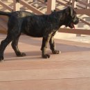 대풍슈퍼 이미지