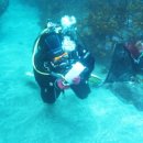 독도환경 이미지