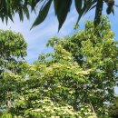 그린농장2 이미지