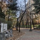 대원아파트산책로 이미지