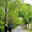 덕양목장2 이미지