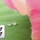 홍대 율촌 이미지