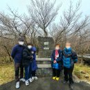 푸른섬제주여행사