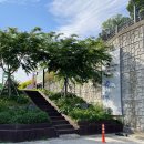 서호동-57 이미지