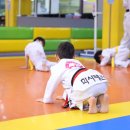 학사태권도 이미지