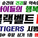 K플러스 태권도장 이미지