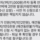 엘본쓰 이미지