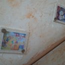 면일어린이집 이미지