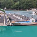 풍화리민박 이미지