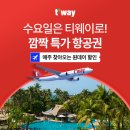 왕복직항 파리 53만원 이미지