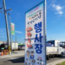 남당리 - 우 | 남당항 대하축제 볼거리 놀거리 먹거리 내돈내산후기