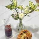 신호사 | 신호동 빵집 물랑 인생 밤식빵 명지 신상 빵집 내돈내산 후기