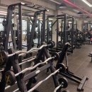 알짐 리커버리 이미지