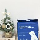 오드(AUD) | 졸리젤리 오드AUD 강아지 배변패드 사용 후기 / 흡수력, 탈취력 둘 다 만족