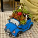 가족이 함께하는 펩아트 | <익산원데이클래스 추천> 아이와 함께 가볼만한 이색체험 다육아트 '함열 에벤에셀 아트공방'