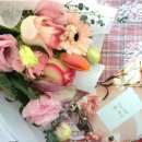 피네농장 이미지