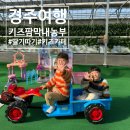 막내농부 | 경주여행 경주 아이랑 키즈팜막내농부 시간 순삭