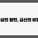 금산인삼전통시장 이미지