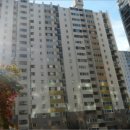 사파동114 이미지