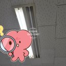 상영빌딩 이미지