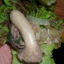 종가집 설렁탕 이미지