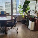 대양행정사 이미지