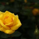 제원행정사사무소 이미지