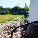 프라비타 민박 이미지