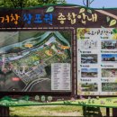 군민체육공원 인라인스케이트장 이미지