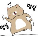 여서도직영회집