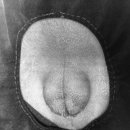 기장i동물의료센터 이미지