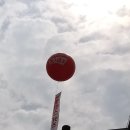 뉴발란스 키즈 명동점