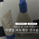 제이앤에프솔루션 | 차앤맘 피토세린 선크림 & 올인원 워시 후기 여름철 온 가족 피부관리 자외선차단 후기
