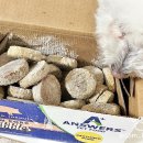 쿰쿰펫푸드 | [앤서스펫푸드] 미국 강아지 발효화식 &#39;포크 디테일드 포뮬러&#39;
