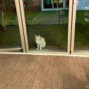 조천마실 | 제주 프라이빗 독채펜션 조천마실 후기 블로그 챌린지 스페셜 포토덤프 사진털이