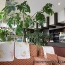 해뜨는 언덕 이미지