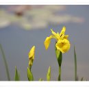 그린목장 이미지