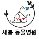 그랜드동물병원 | 남구 동물병원 새봄동물병원 찐후기