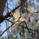 부천종합운동장 이미지