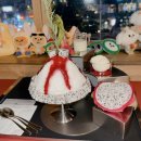 CU 방어행복점 | 250822-23 투모로우 콘서트 후기