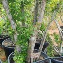 응성농장 이미지