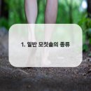솔플란트치과의원 이미지