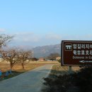 서호면보건지소 네이버블로그