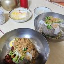 오늘하루 애견 동반 스파펜션 | 가평 물놀이 대작전! 막국수 맛집부터 스파펜션까지 알차게🎈
