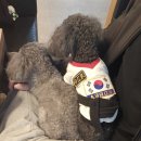 블랙벨트 GYM 이미지