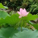 자미원농장 | 축복의 땅 자미원성지