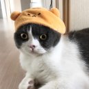 별달해