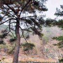 치악산둘레길 5코스 서마니강변길 이미지